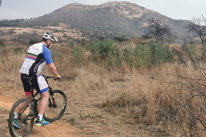 Cycling The Cradle of Humankind in Game Reserve