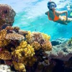 1 da nang hoi an discovery cham island and snorkeling 1 day Da Nang/Hoi An: Discovery Cham Island and Snorkeling 1 Day