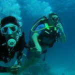 1 daily 2 dives with equipment from hurghada Daily 2 Dives With Equipment From Hurghada