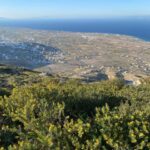 1 daily trips to santorini Daily Trips to Santorini