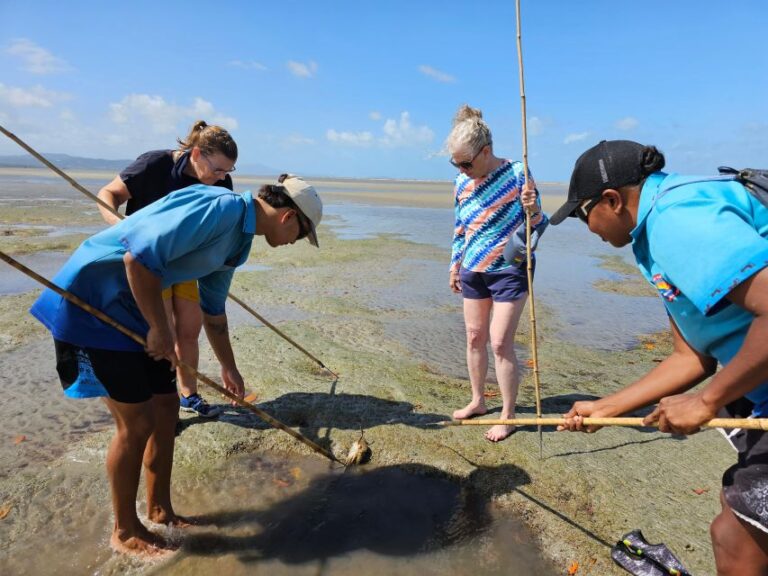 Daintree, Crocodile Cruise & Aboriginal Beach & Fish Tour