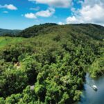 1 daintree rainforest crocodile wildlife river cruises Daintree Rainforest: Crocodile & Wildlife River Cruises