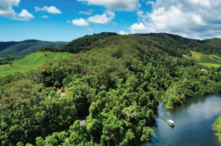 Daintree Rainforest: Crocodile & Wildlife River Cruises