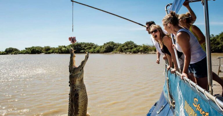 Darwin: City Sights and Jumping Crocodile Cruise