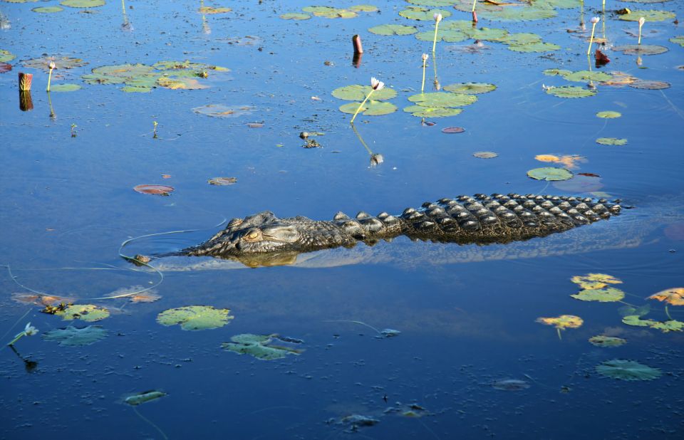 1 darwin kakadu national park day trip Darwin: Kakadu National Park Day Trip