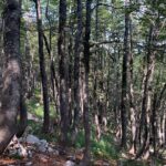 1 day hike in velebit national park wilderness premuzic trail Day Hike in Velebit National Park Wilderness - Premuzic Trail