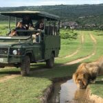 1 day safari at pumba private game reserve Day Safari at Pumba Private Game Reserve