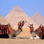 1 day tour to giza pyramids the national museum of egyptian civilization bazzar Day Tour to Giza Pyramids, The National Museum Of Egyptian Civilization & Bazzar