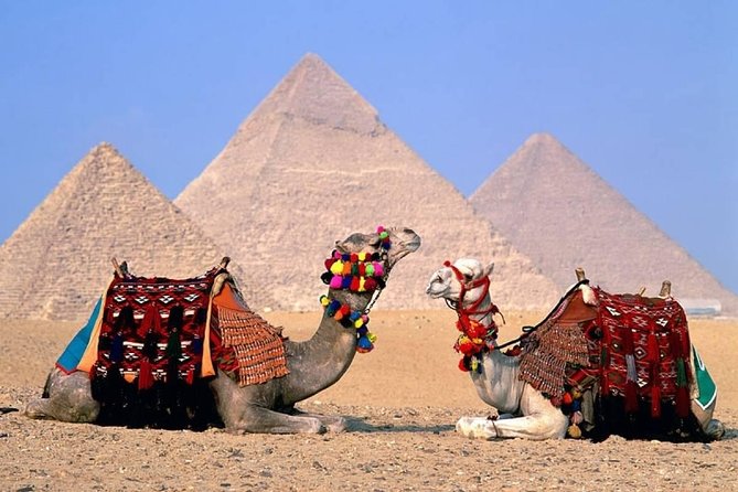 Day Tour to Giza Pyramids, The National Museum Of Egyptian Civilization & Bazzar