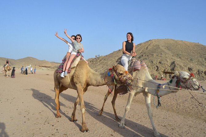 Desert Quad, Jeep, Camel and Buggy Safari With BBQ Dinner