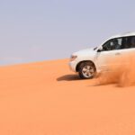 1 desert safari dubai 15 Desert Safari Dubai
