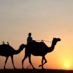 1 desert safari dubai 9 Desert Safari Dubai