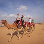 1 desert safari with camel ride bbq dinner sand board live show Desert Safari With Camel Ride, BBQ Dinner, Sand Board & Live Show