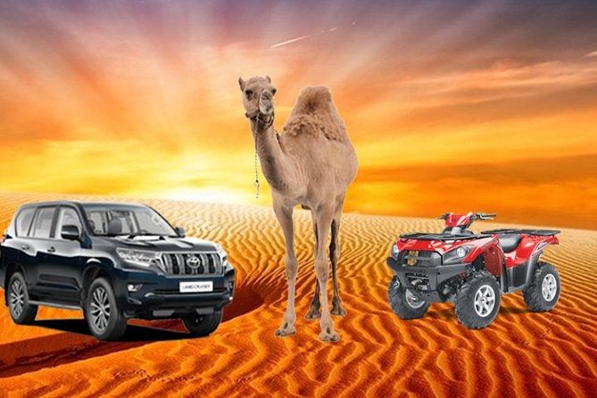 Desert Safari With Dune Bashing and Unlimited 4 Course Barbecue Dinner