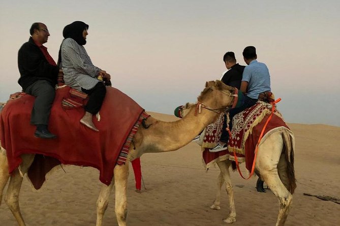 Desert Tour With Sand Boarding & Camel Riding