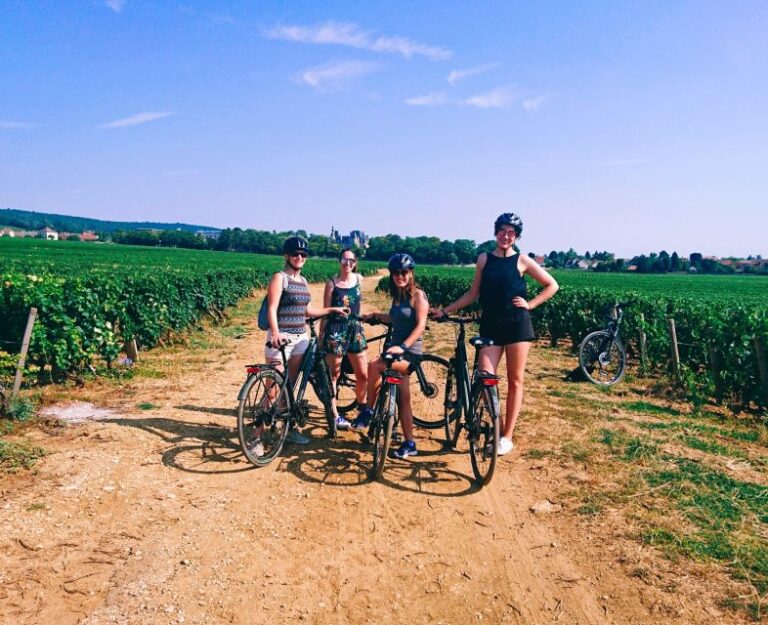 Dijon: Bike Tour and Tastings in the Vineyards of Burgundy