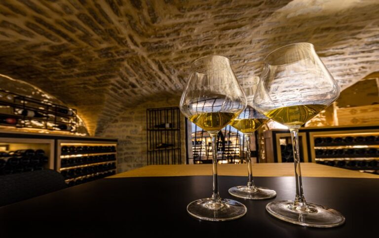 Dijon: The Palace Cellar Burgundy Wine Tasting Experience