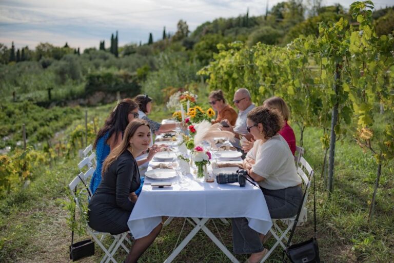 Dinner in the Vineyard French Riviera