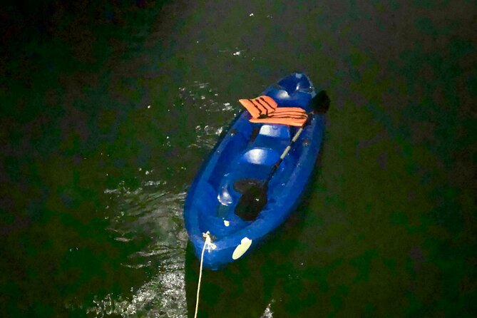 1 discover bioluminescent plankton using kayak in lan ha bay Discover Bioluminescent Plankton Using Kayak in Lan Ha Bay