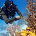 1 discover scuba dive at australias most iconic beach Discover Scuba Dive at Australia's Most Iconic Beach