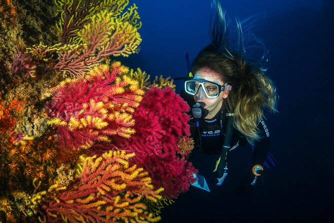 1 discover scuba diving adventure in dubai with private transfer Discover Scuba Diving Adventure in Dubai With Private Transfer
