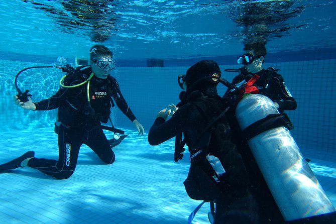 Discover Scuba Diving Course in Playa Del Carmen With Two Coral Reef Dives