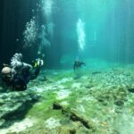 1 discover scuba diving in tulum Discover Scuba Diving in Tulum