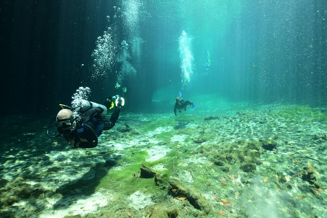 Discover Scuba Diving in Tulum