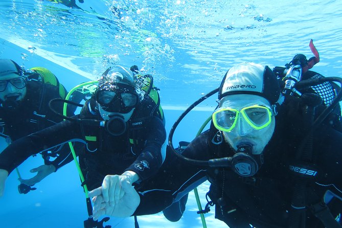 Discover Scuba Diving or Try Dive