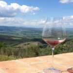1 discover small organic and biodynamic brunello wineries Discover Small Organic and Biodynamic Brunello Wineries