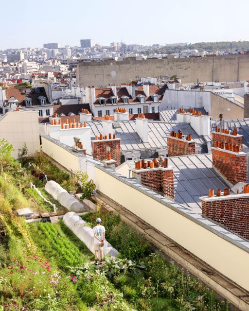 Discover the Opéra Bastille Rooftop Farm