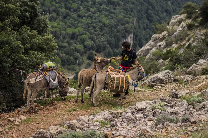 DISCOVER the SARDINIA, the WAYS of TRANSHUMANCES With ANES - Routes and Destinations for Transhumance