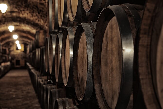 Discover the Winery and Taste Fine Wine in Extremadura