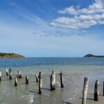 1 discover victor harbor guided walking tour Discover Victor Harbor Guided Walking Tour