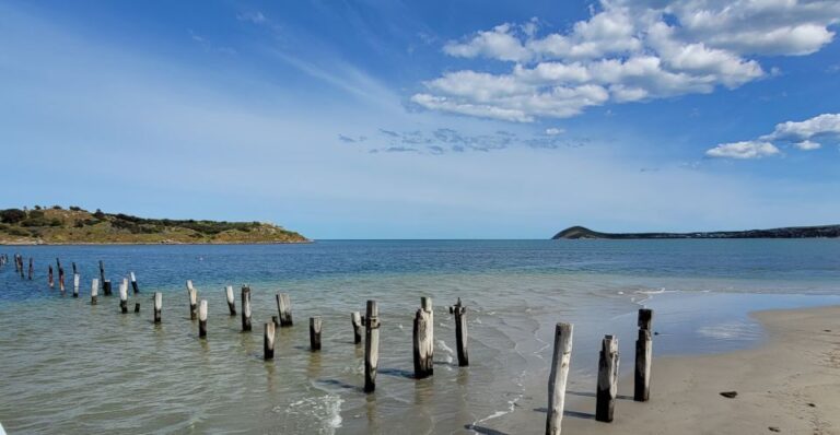 Discover Victor Harbor Guided Walking Tour