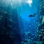 1 diving in silfra fissure in thingvellir national park Diving in Silfra Fissure in Thingvellir National Park
