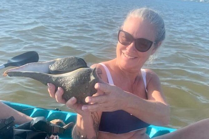 Dolphin and Manatee Kayak Tour of Daytona Beach