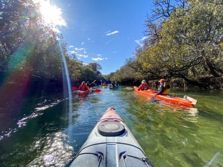 Dolphin Sanctuary and Ships Graveyard Kayak Tour