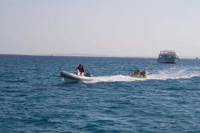 Dolphin Tour in Hurghada