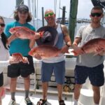 1 dolphin tour inshore fishing adventure flowing water charters Dolphin Tour & Inshore Fishing Adventure (Flowing Water Charters)