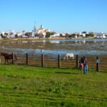 1 donana national park off road tour from seville Doñana National Park Off-Road Tour From Seville