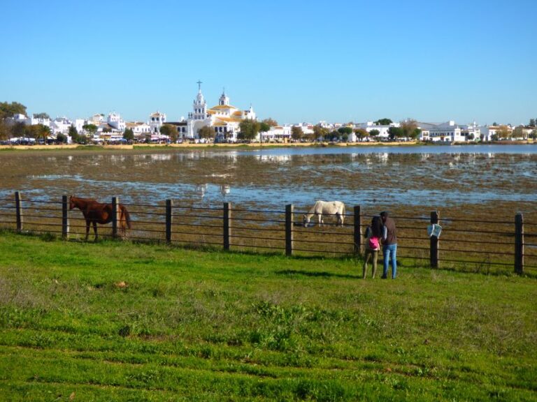 Doñana National Park Off-Road Tour From Seville
