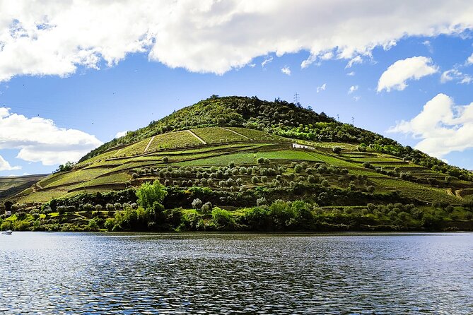 Douro Roots & History – Tour With a Local