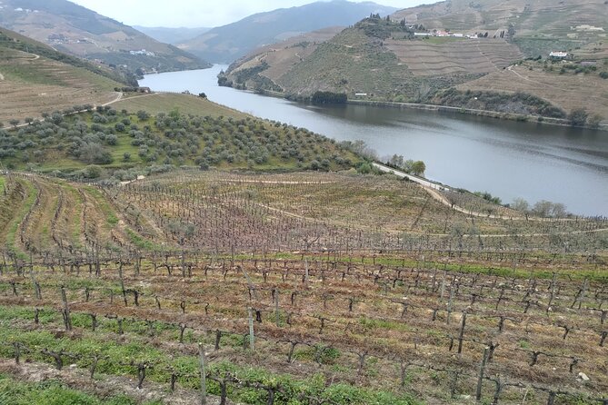 Douro Tour With 2 Wine Estate and Tradicional Lunch