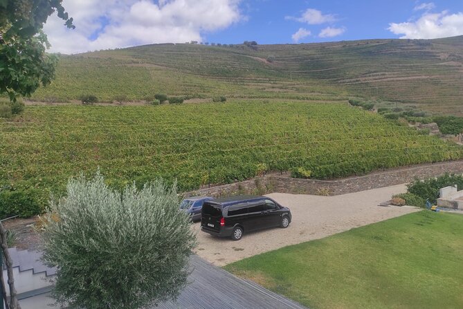 Douro Valley Amazing Wine Tours