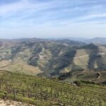 1 douro valley private full day tour from porto 2 Douro Valley Private Full-Day Tour From Porto