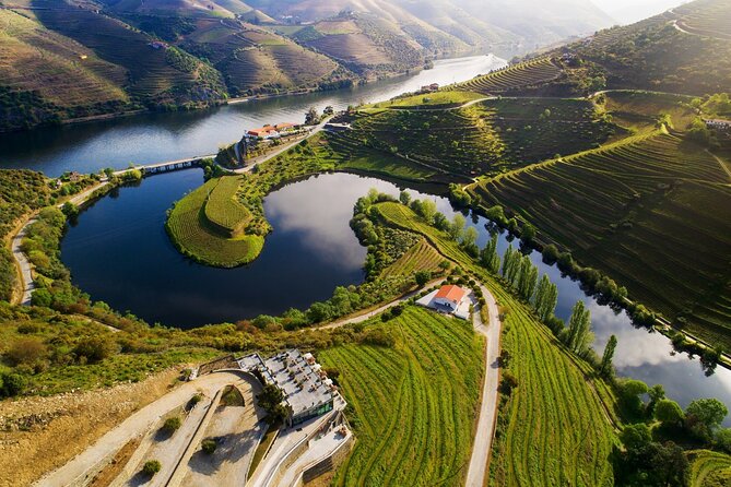 1 douro valley private tour with tasting included Douro Valley Private Tour With Tasting Included