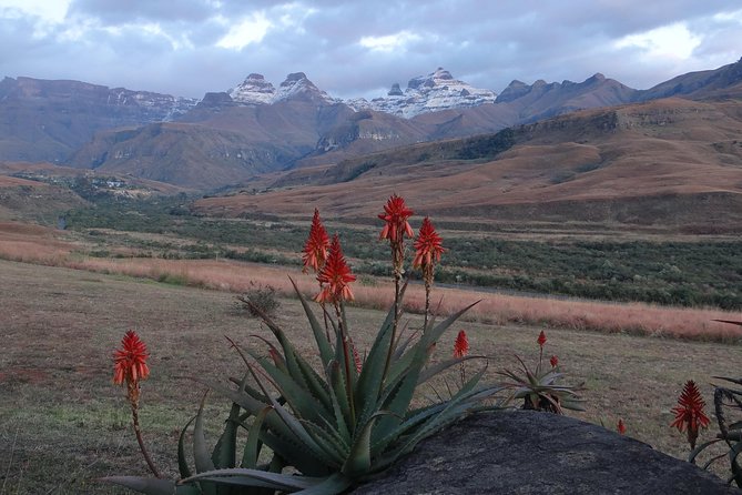 Drakensberg Mountain Day Tour Into Lesotho From Durban