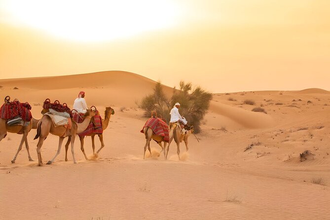 Dubai: 3* Red Dunes ATV, Sandsurf, Camels, Horses, Buffet & Show