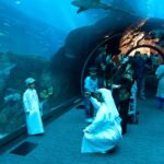 1 dubai aquarium and underwater zoo 2 Dubai Aquarium and Underwater Zoo